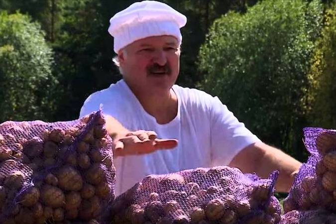 Это заговор. Чиновники и пропаганда нашли, из-за кого случился дефицит картошки в Беларуси