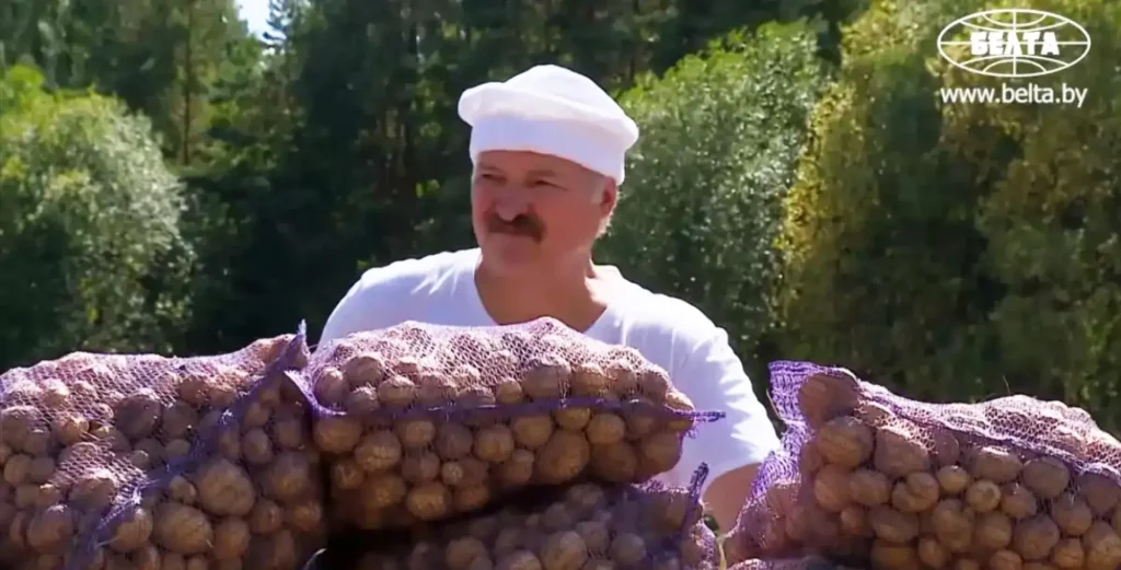 Картошка для Лукашенко как новый 20-й год