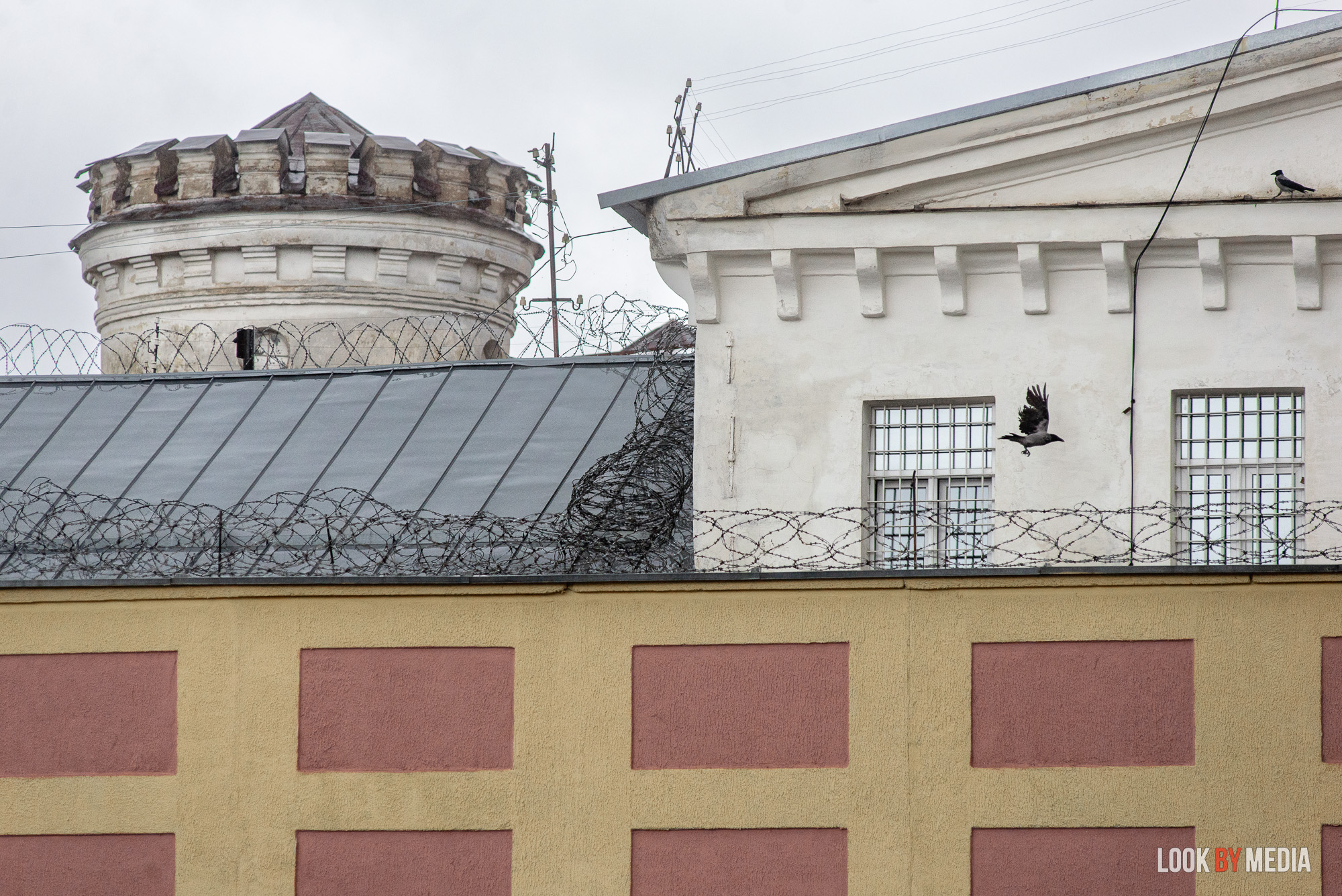 В Беларуси — новая волна бизнесцида. Что стало его причиной?