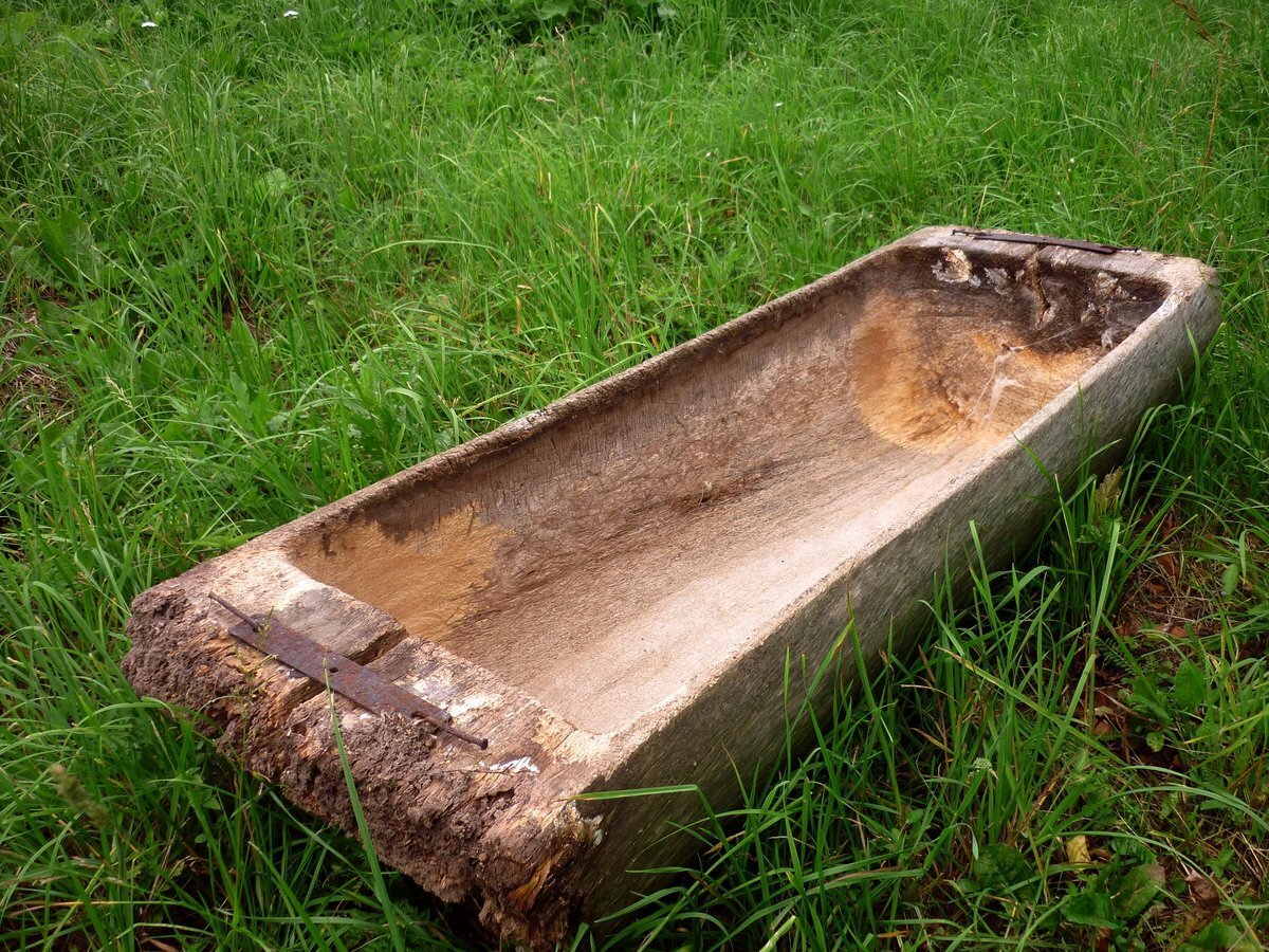 Это фиаско, братан. Как Лукашенко все провалил