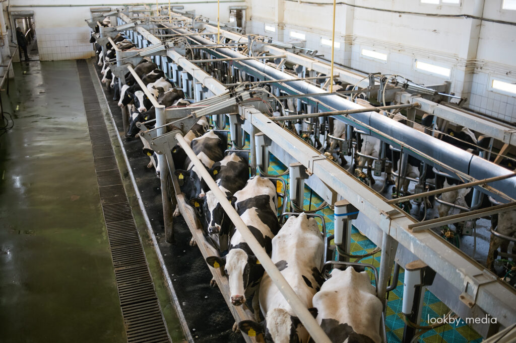 С больной головы на здоровую. Ради БНБК задушат других производителей