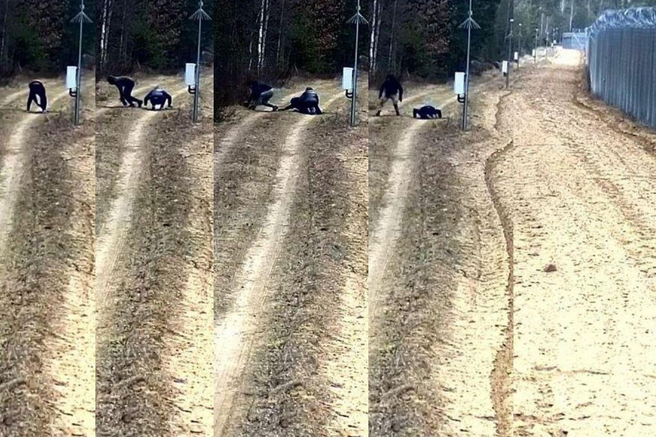 Условия Науседы невыполнимы? Нелегалы из Беларуси рвались в Литву через подкоп