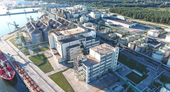 Топ-11 крупнейших частных беларуских бизнесов в России. Растут те, кто дальше от государства и без санционки