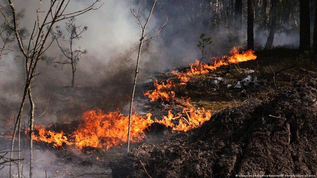 Беларусь готовится к возможному переходу огня из Чернобыльской зоны