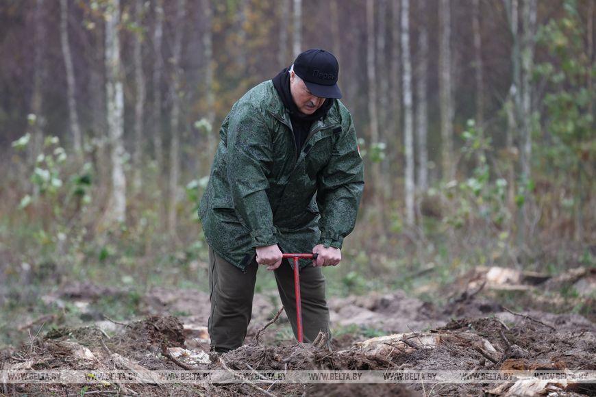 Сам признался. «Лес и сельское хозяйство — все, что мы имеем», — говорит Лукашенко